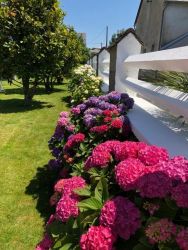 chambres-hotes-les-hortensias-64-22.jpg