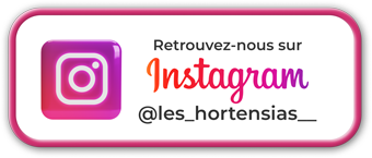 instagram-les-hortensias-64